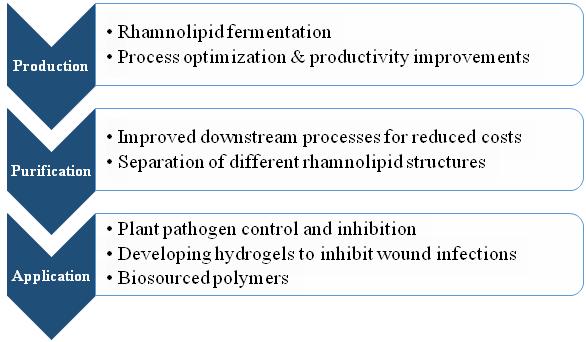 The "big picture" for the rhamnolipid project