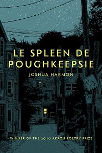 cover of Le Spleen de Poughkeepsie
